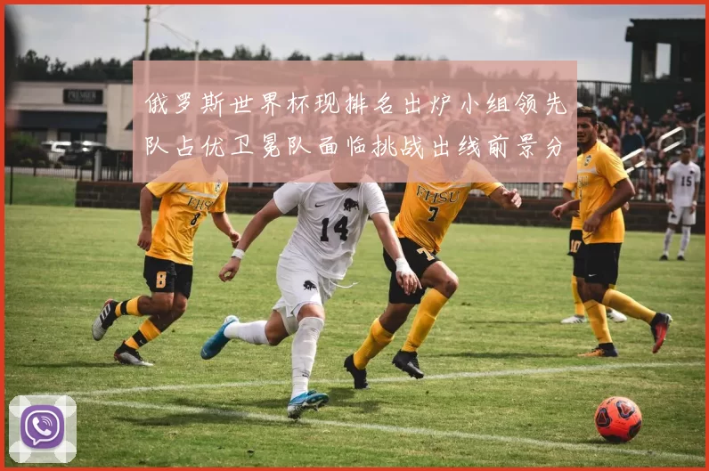 俄罗斯世界杯现排名出炉小组领先队占优卫冕队面临挑战出线前景分化