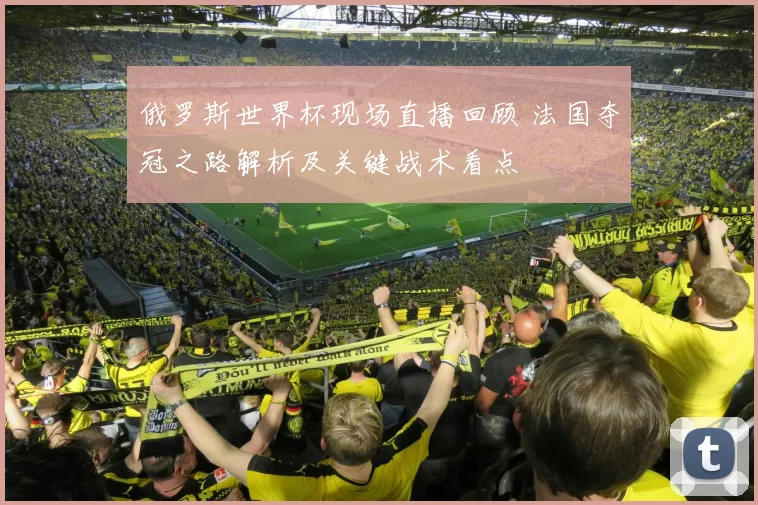 俄罗斯世界杯现场直播回顾 法国夺冠之路解析及关键战术看点