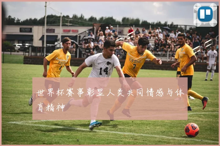 世界杯赛事彰显人类共同情感与体育精神