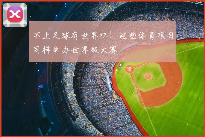 不止足球有世界杯!这些体育项目同样举办世界级大赛