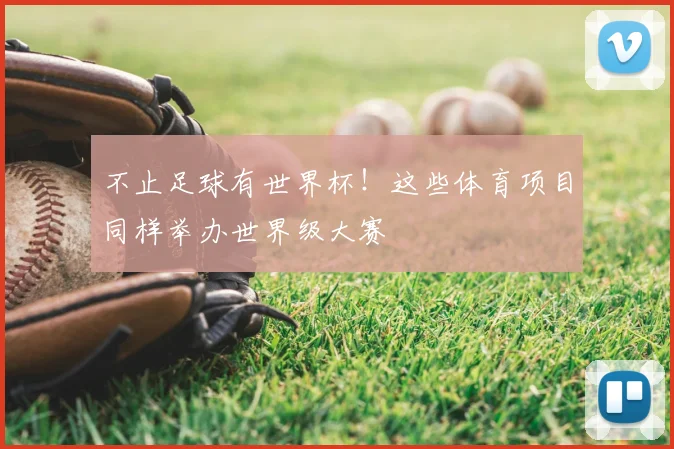 不止足球有世界杯!这些体育项目同样举办世界级大赛
