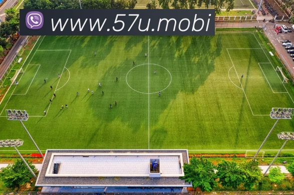 人人体育app 官方网站 - 探索体育世界,分享独到见解!APP 封面图